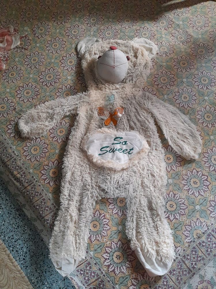 Huge Teddy Bear Outer Cover