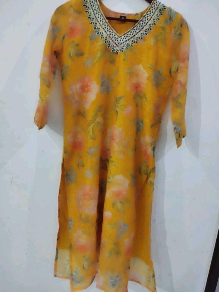Beautiful Organza Type Suit