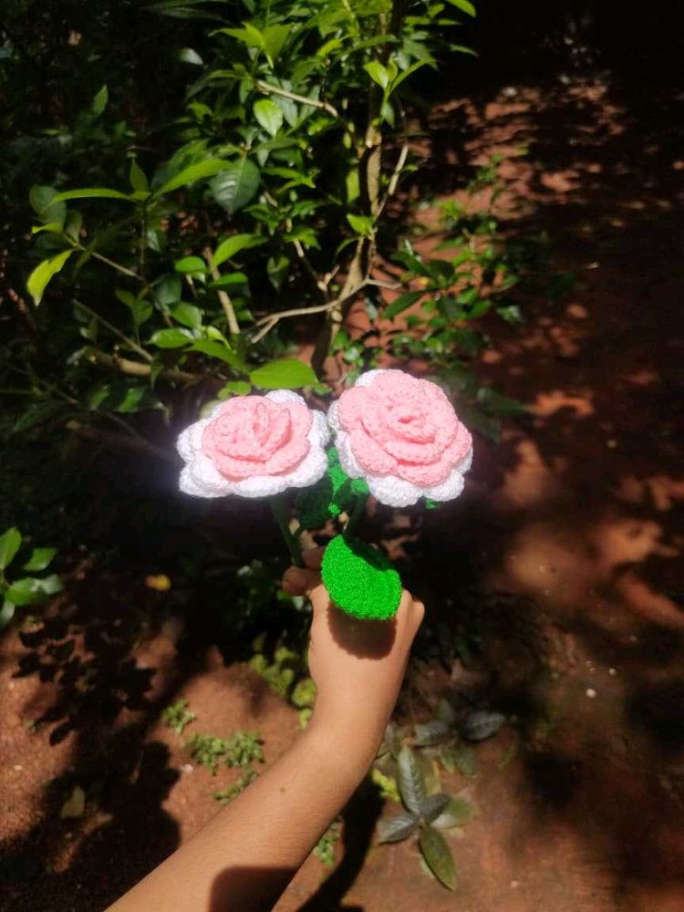 2 crochet double shaded roses