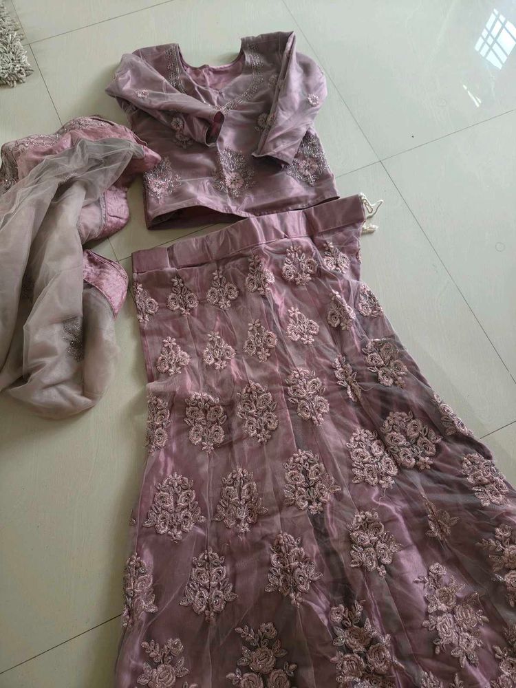 Embroidered Lehenga Choli