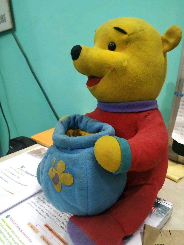 Winnie the Pooh Plush