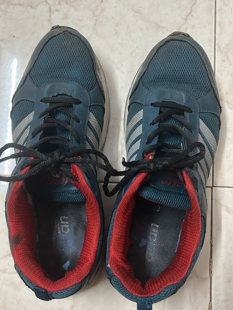 Turquoise Color Asian Brand Shoes