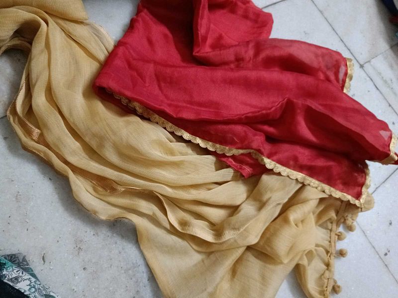 Set Of 2 Designer Dupattas