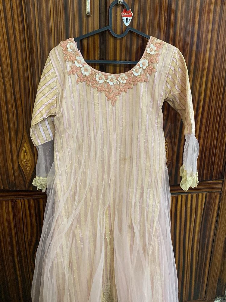 Elegant Ethnic dress