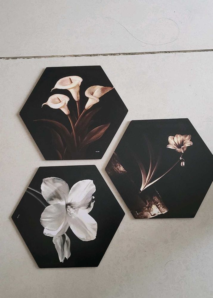 Wall Decor Of 3 Pieces