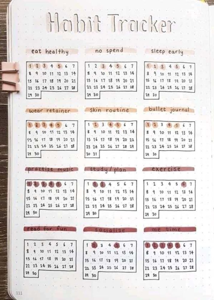Customized Bullet Journal