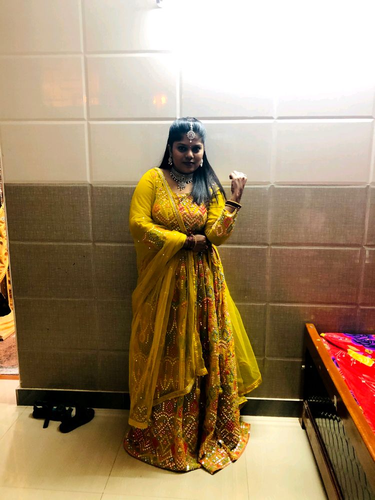 Excellent Mirror Work Lehenga