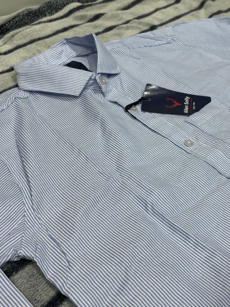 Allen Solly Blue Striped Shirt