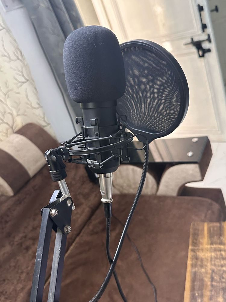 Professional Studio Microphone