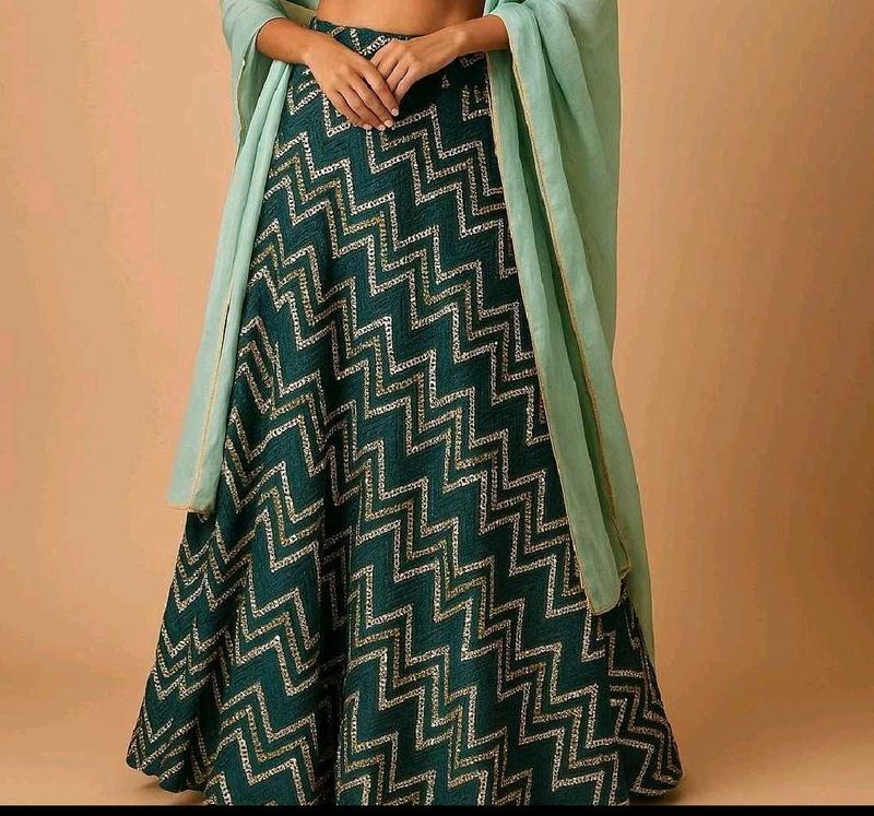 Elegant Green lehnga