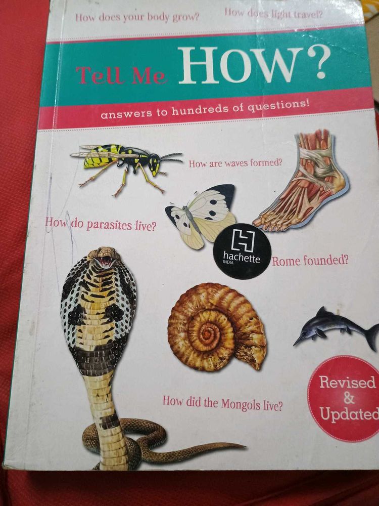 Knowledge Book For All