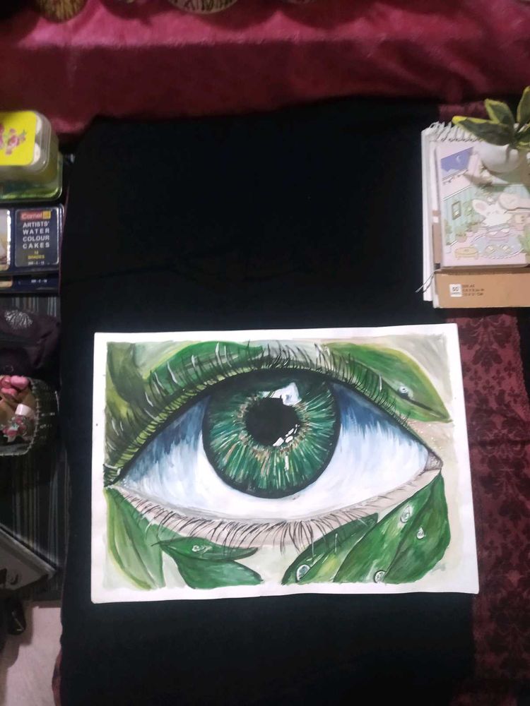 Eye See Nature