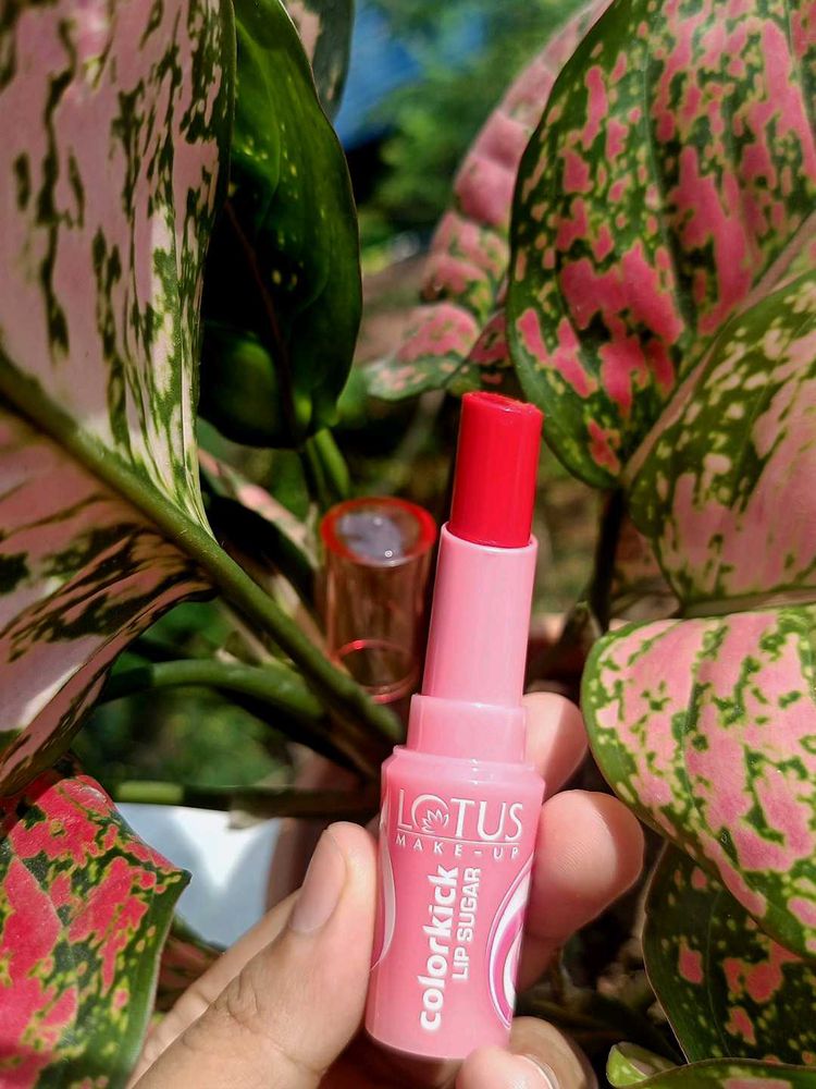 Lotus ColorKick Lip Sugar