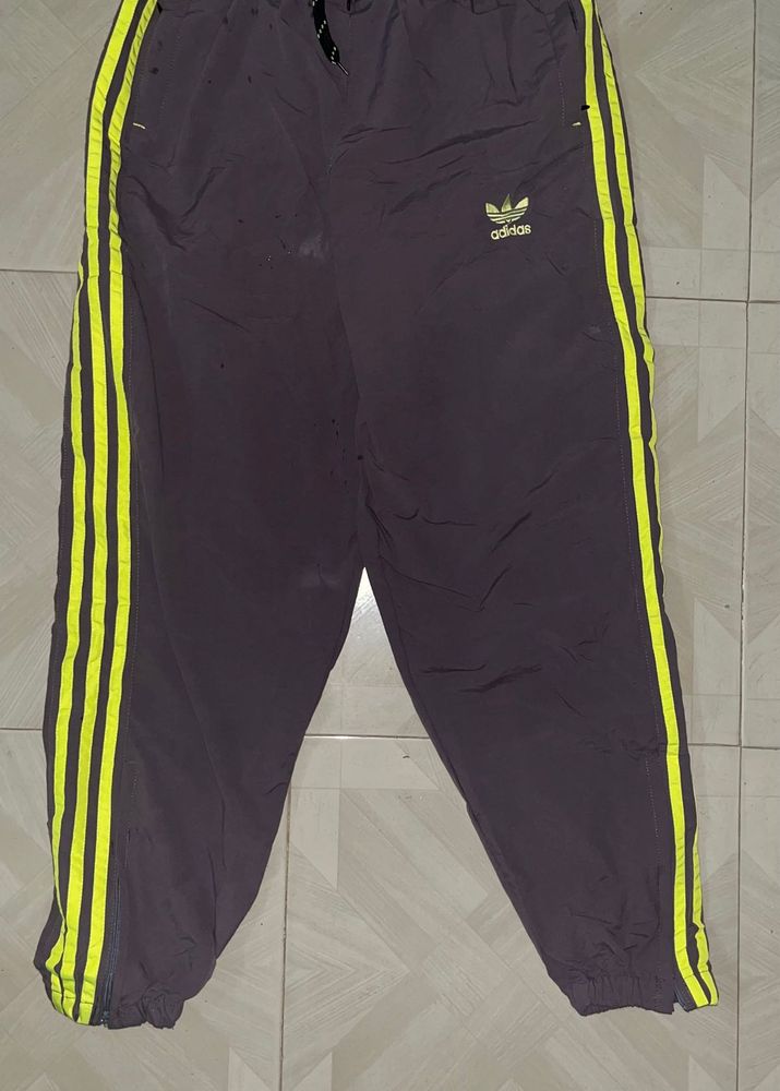 Track Pant With Stripe
