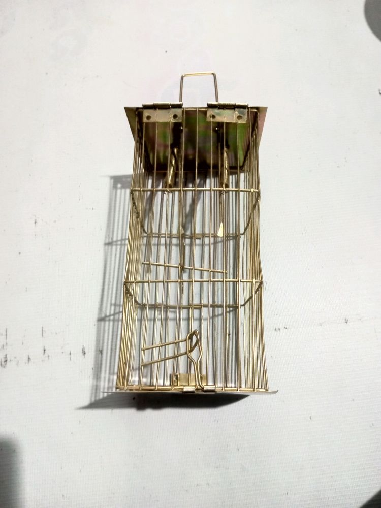 Best Quality Rabit Trap New Piece