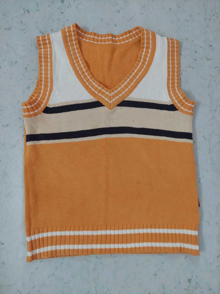 Striped Knit Sweater Vest