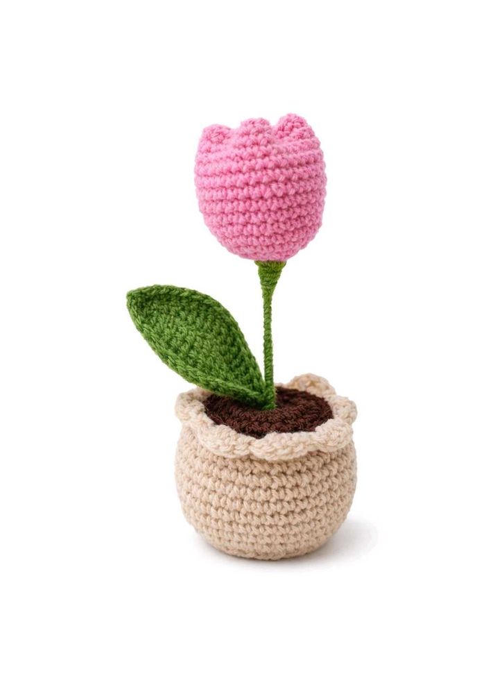 Cute Crochet tulip pot