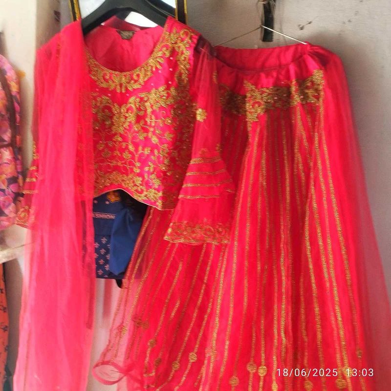 Rani Embroidered Lehenga Choli