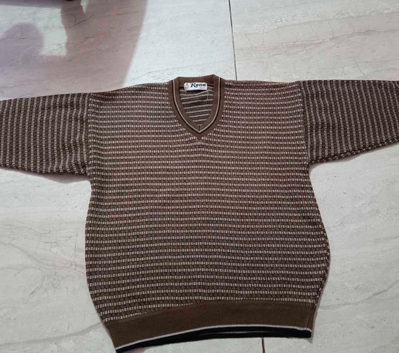 Striped V-Neck Knit Sweater