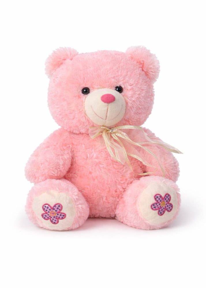 Pink Teddy Bear