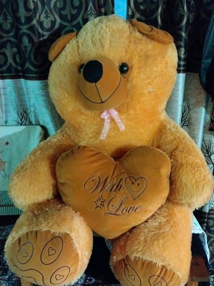 Teddy Bear 🐨