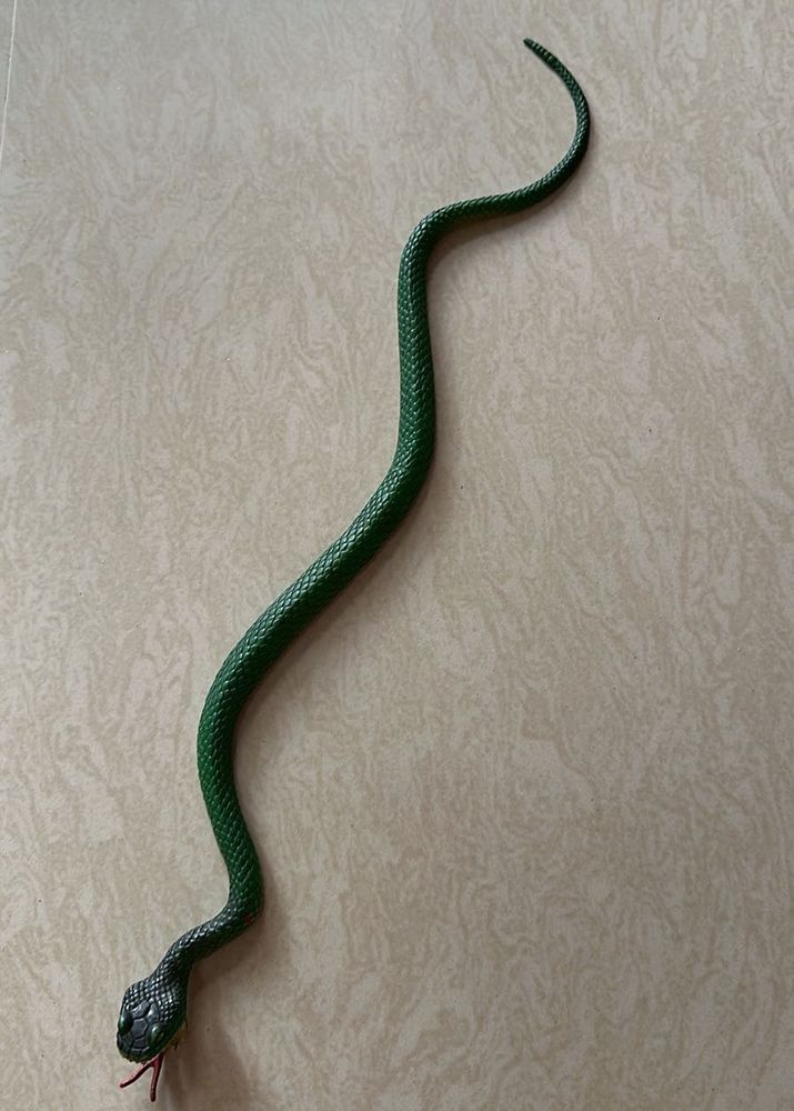 Snake Toy