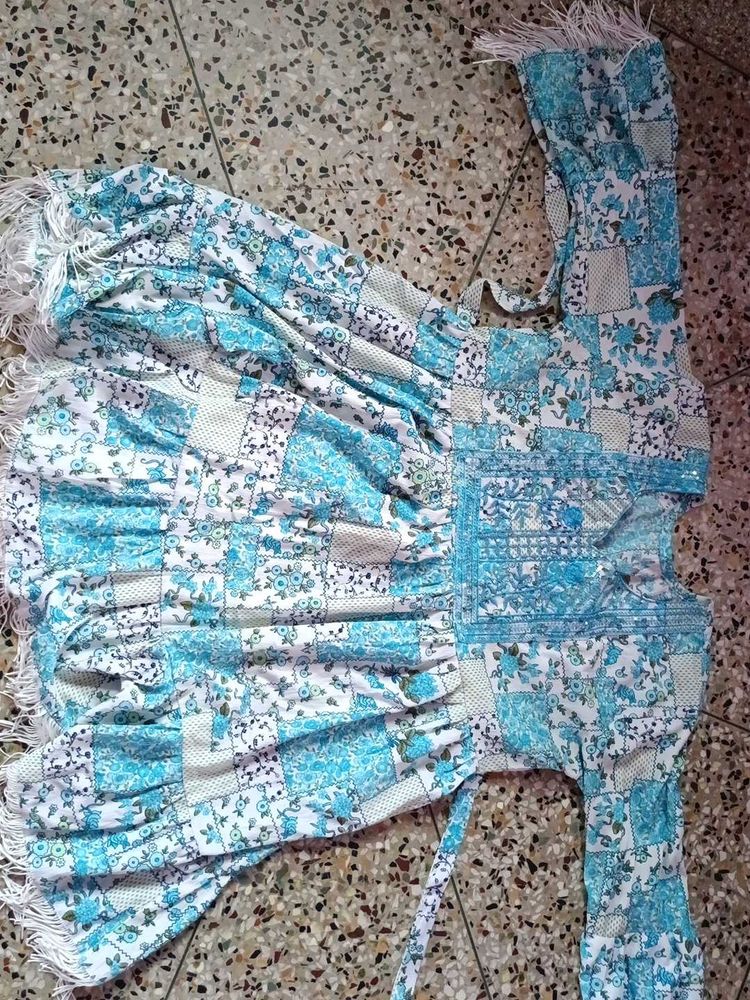Embroidery Chikan Top