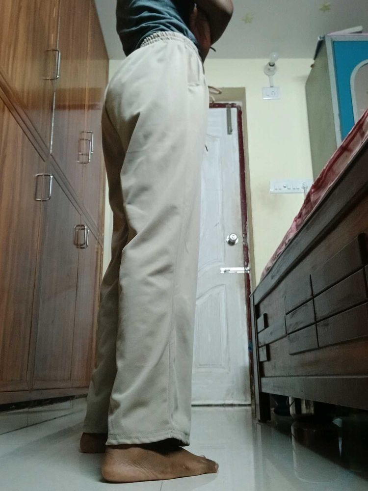 Beige Casual Pants