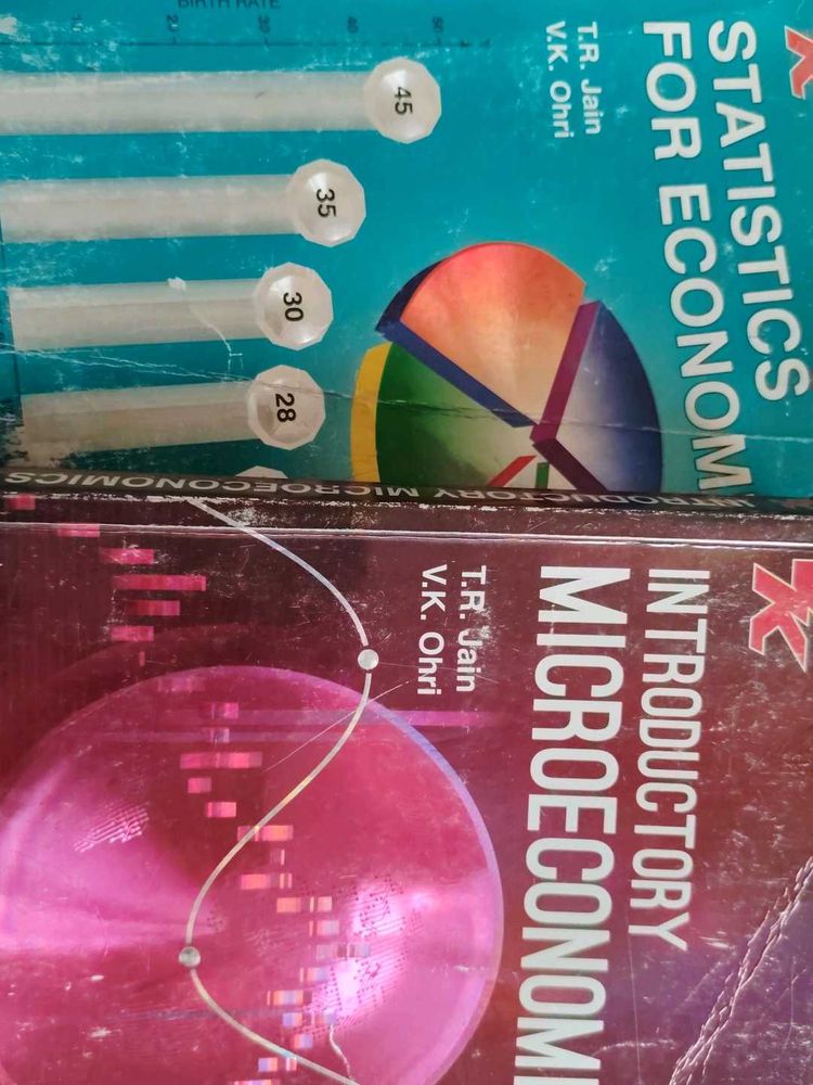 Class 11 Economics Book