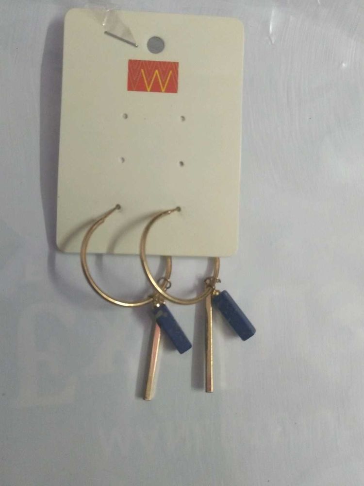 Hanging Stunning Earrings