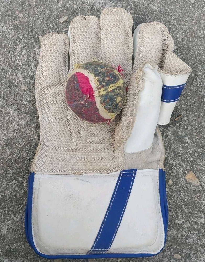 Used Cricket Wicket Keeping Glove
