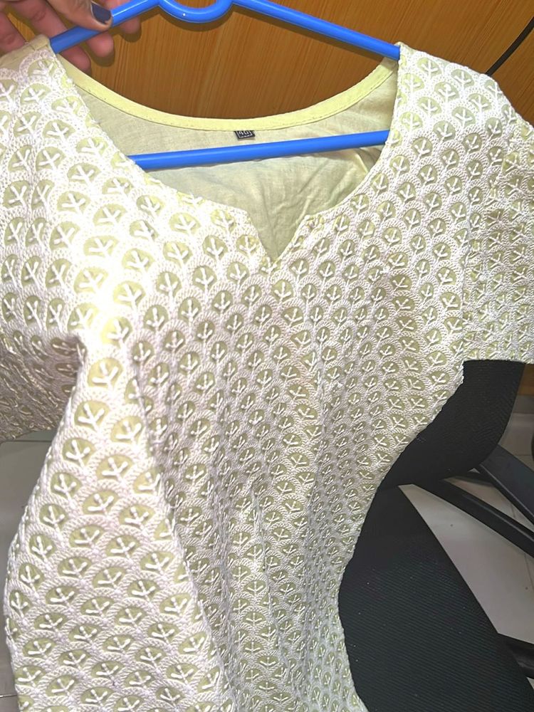 Embroidered Chicken Kari  Work Tunic Top