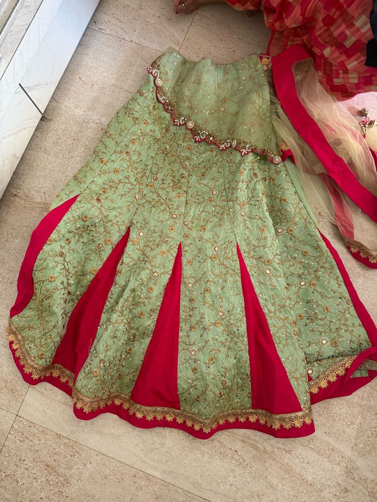 Elegant Lehenga Choli Set