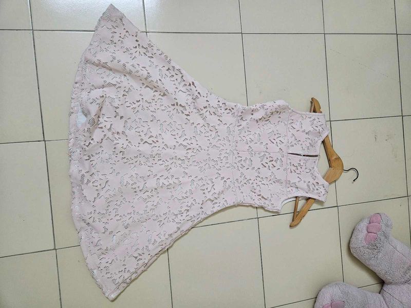 Stunning Pink Skater Dress