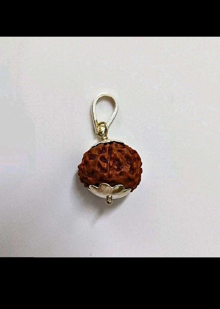 Rudraksha 6 and 9 mukhi combo