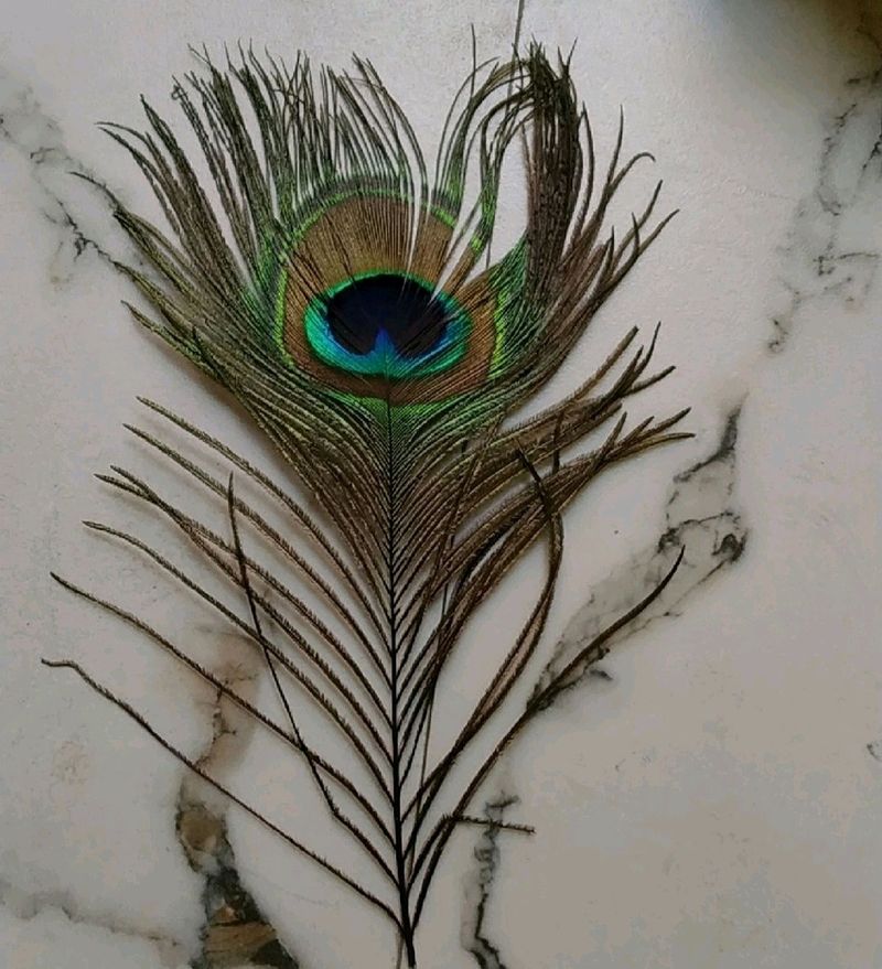 Decoration Item