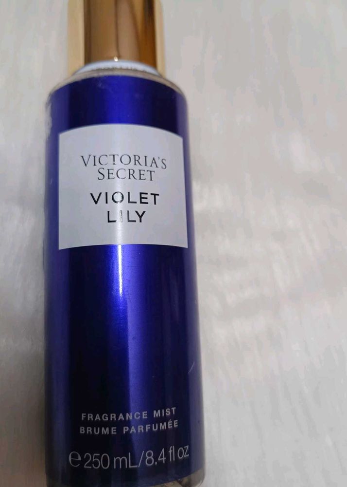 VS Violet Lily