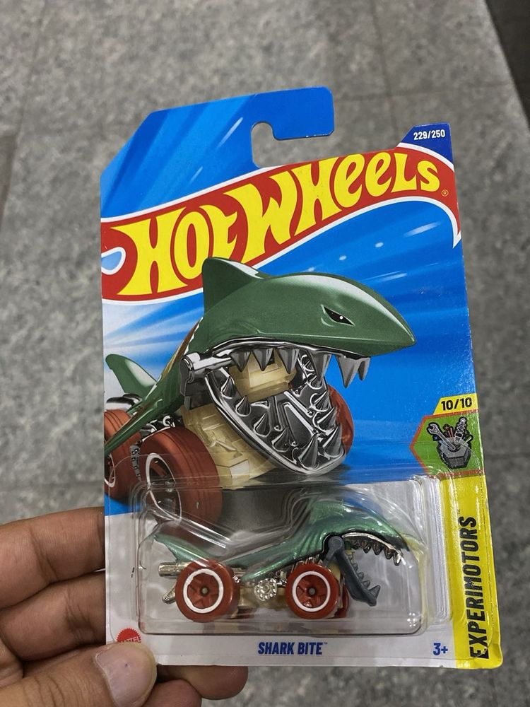 Shark Bite - Treasure Hunt