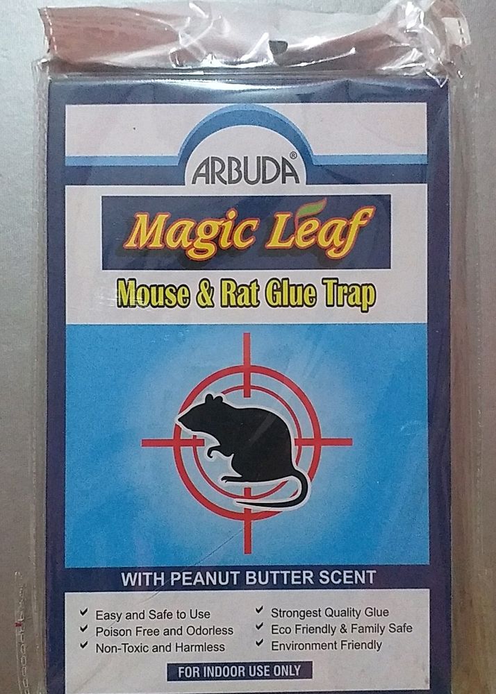 Mouse &amp; Rat Glue Trap