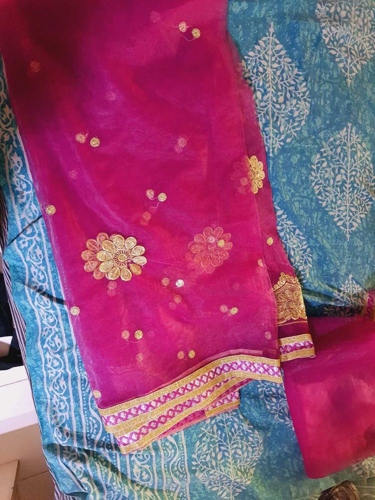 Pink Embellished saree