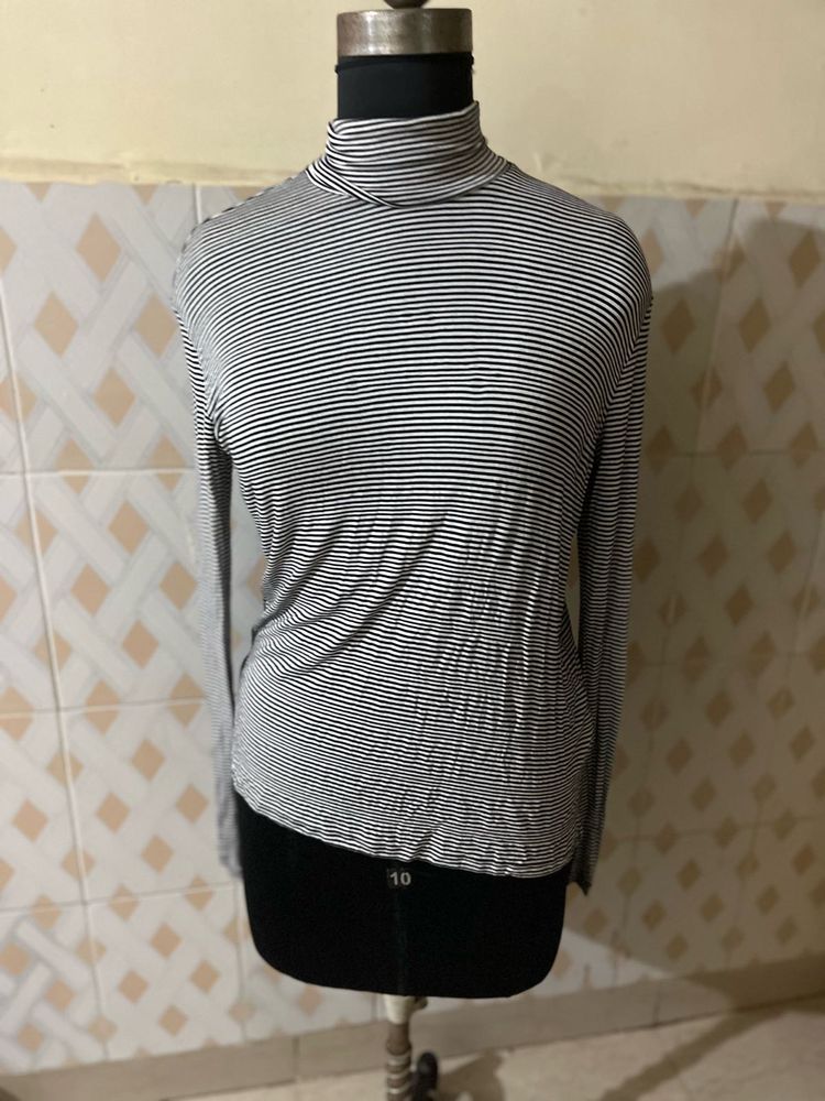 Turtle Neck Top