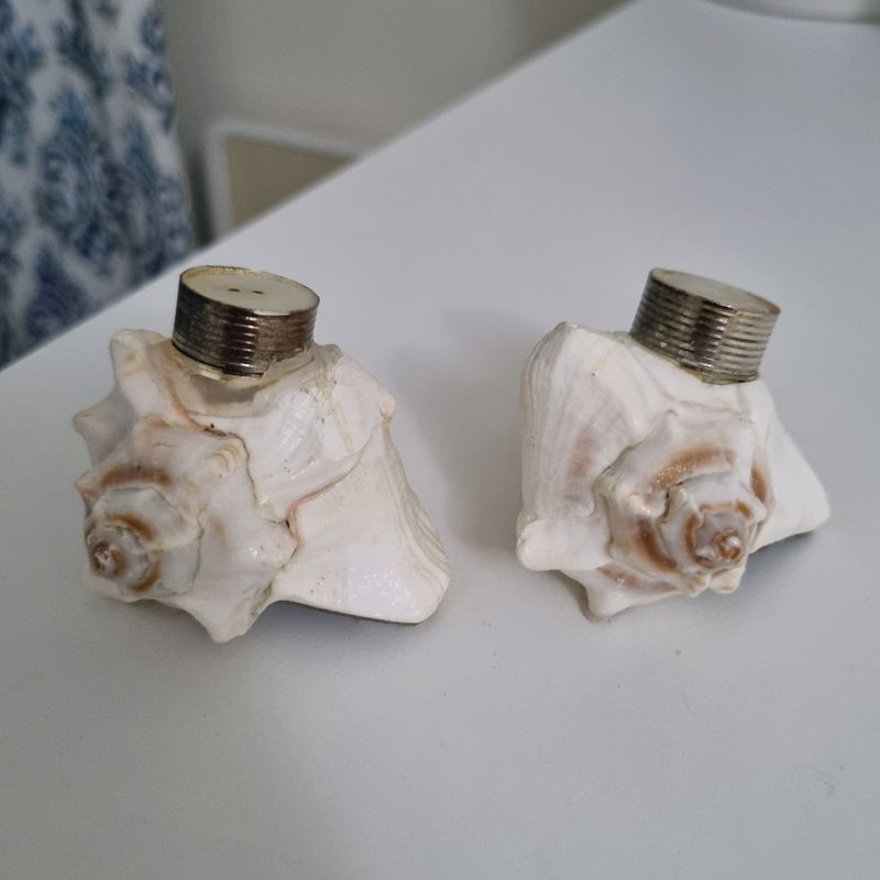 Sea Shell Salt &amp; Pepper Shakers (Display Only)