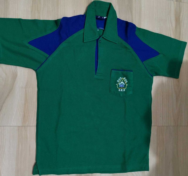 Green &amp; Blue Polo Shirt