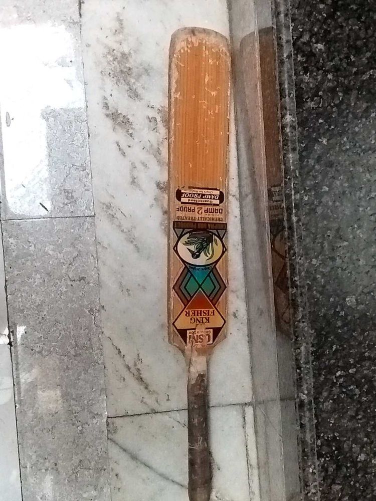 cricket bat