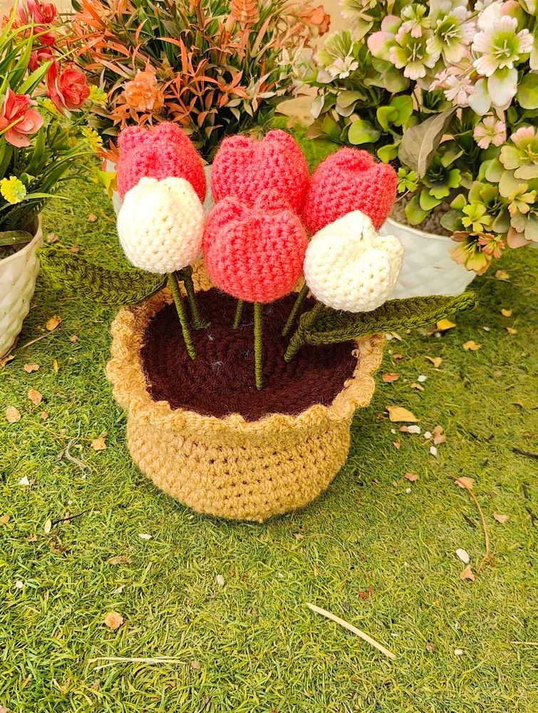 6 Tulip With Pot And Leafs