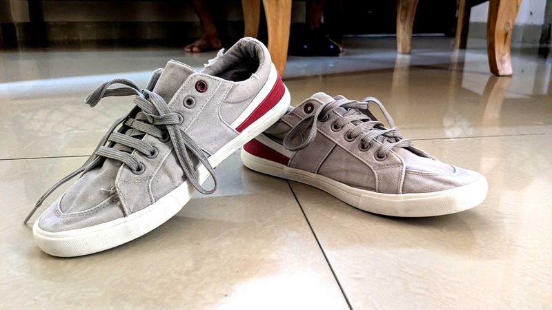 US polo Gray Sneakers with Red Accent