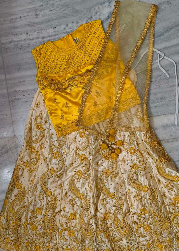 Embroidered Lehenga