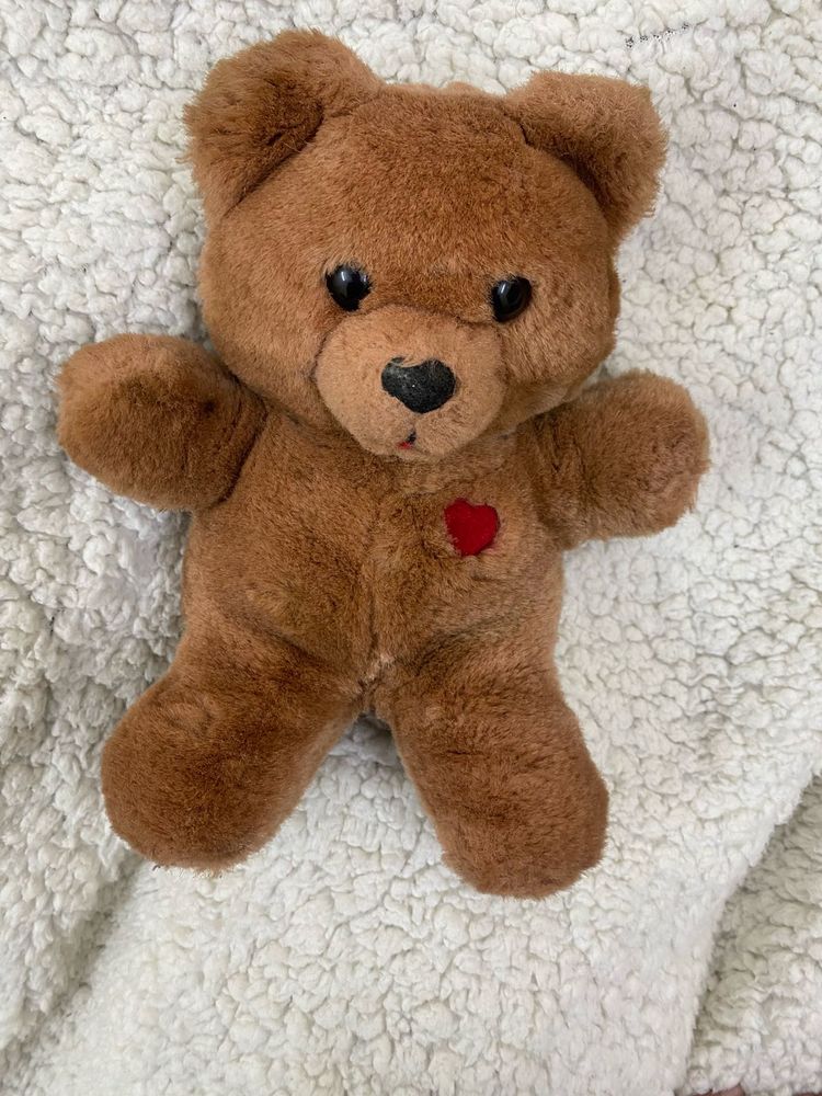 Cute Fluffy Teddy Bear 🧸