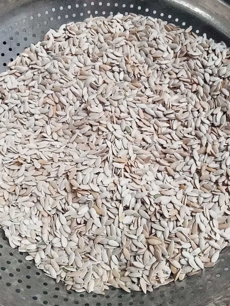 Kharbuja Seeds
