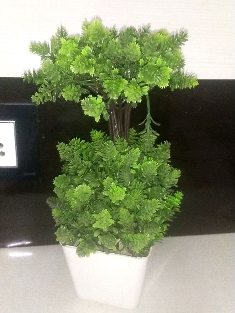 Pot
